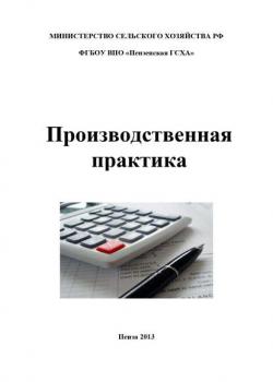 Производственная практика по бухгалтерскому учету (И. А. Бондин)