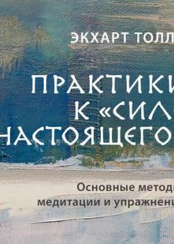 Аудиокнига Практики к «Силе настоящего». Основные методы, медитации и упражнения (Экхарт Толле)