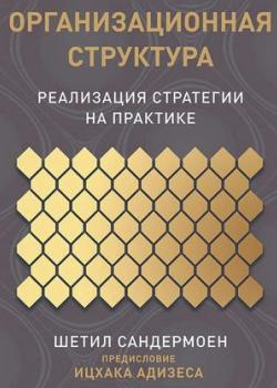 Аудиокнига Организационная структура (Шетил Сандермоен)