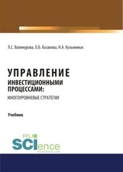 Управление инвестиционными процессами: многоуровневые стратегии. (Аспирантура). (Бакалавриат). (Магистратура). Учебник - скачать книгу