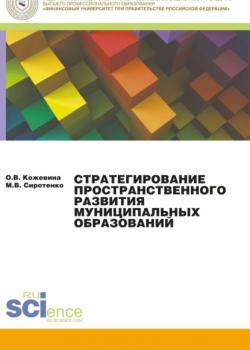 Стратегирование пространственного развития муниципальных образований. (Аспирантура). (Магистратура). Монография - скачать книгу