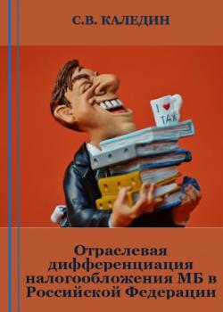 Отраслевая дифференциация налогообложения МБ в Российской Федерации - скачать книгу