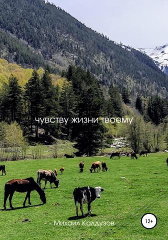 Чувству жизни твоему - скачать книгу